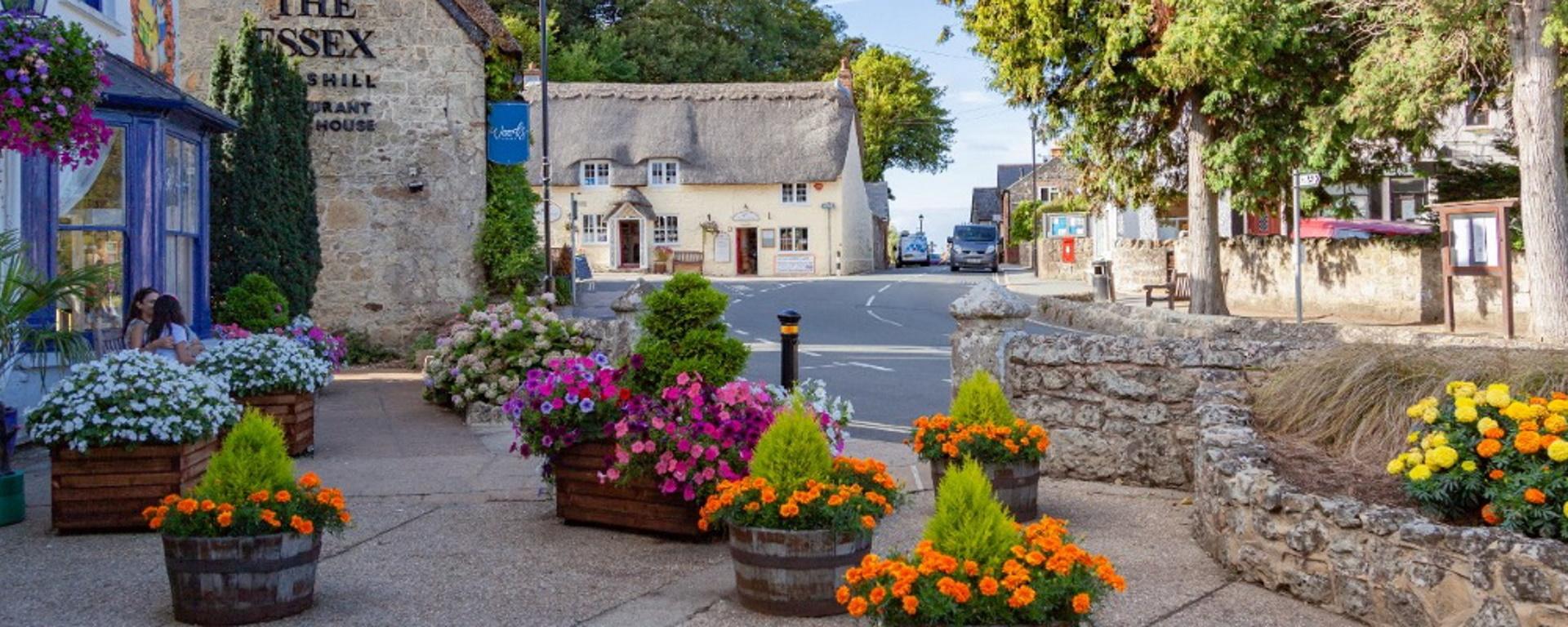 Welcome to Godshill